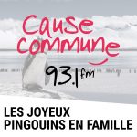 Les joyeux pingouins en famille